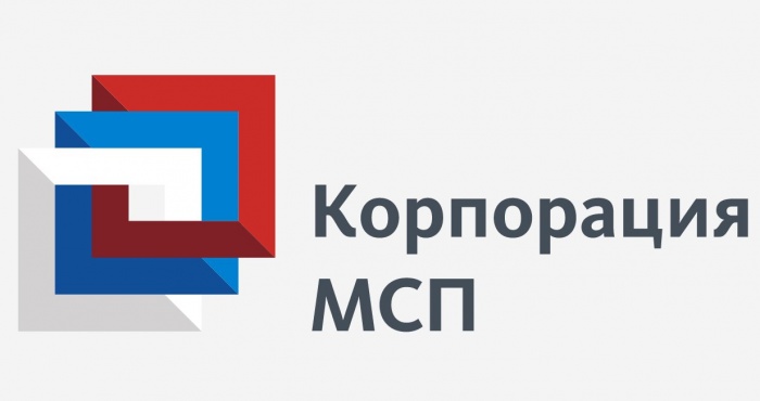 корпорация МСП.jpg